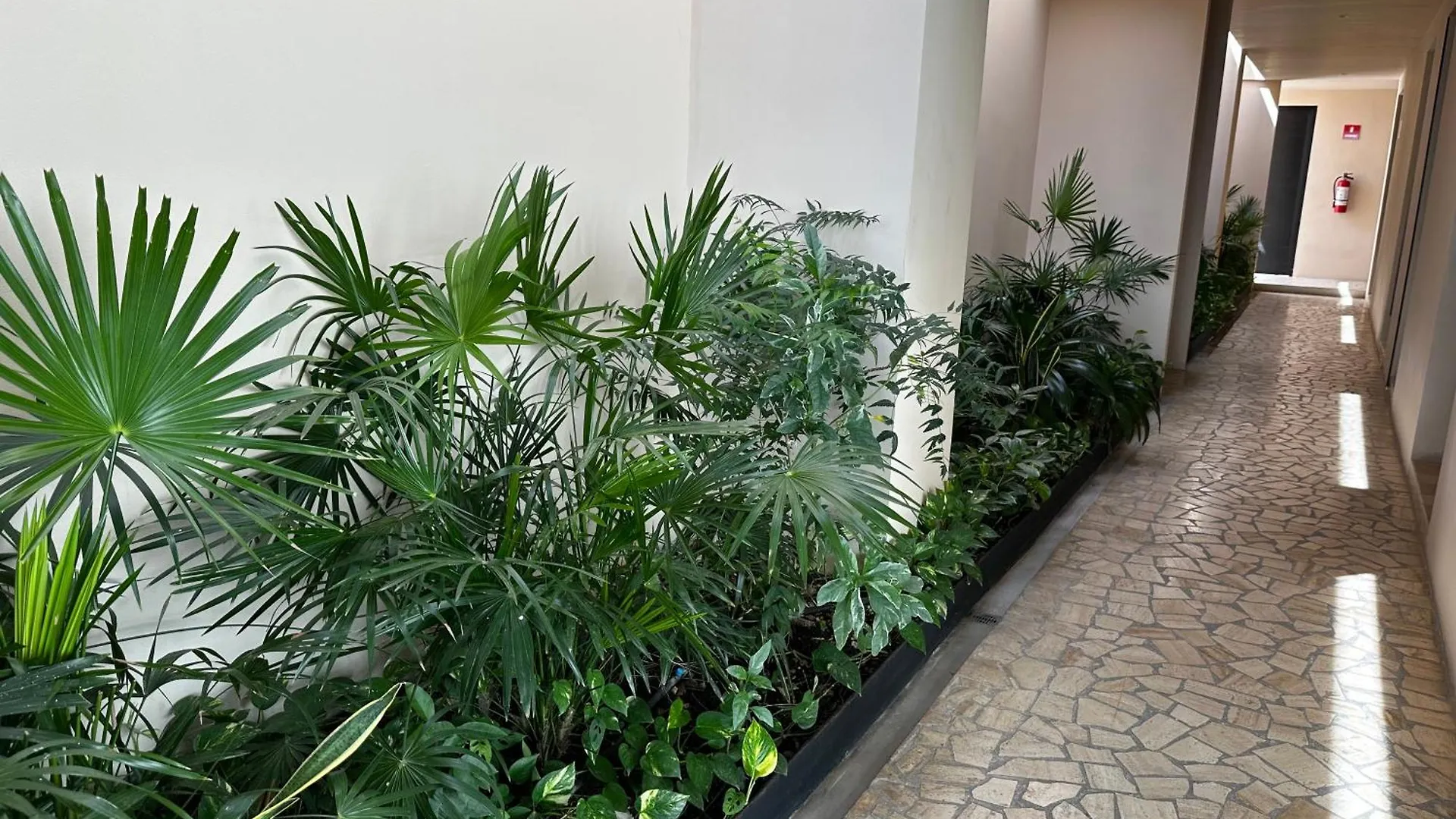 Paseo Luxury House Apartamento Playa del Carmen